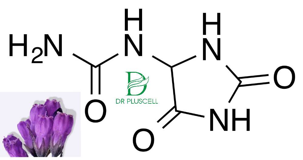 Bột rửa mặt Dr Pluscell