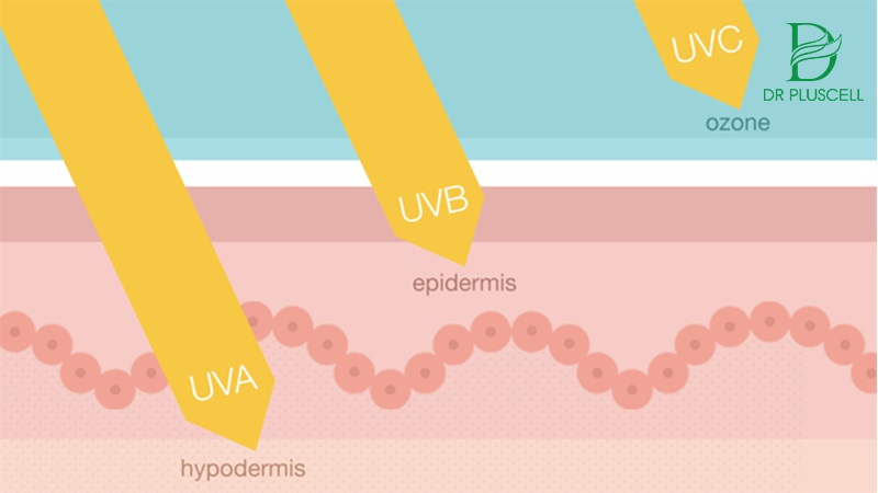 Tác hại của tia UV đến với làn da