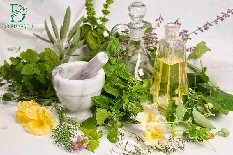 Nước hoa hồng có thành phần chiết xuất từ thảo dược thiên nhiên Chiết xuất từ thảo dược thiên nhiên