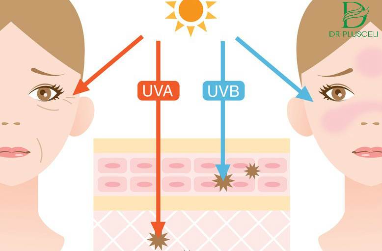 tác hại tia UVA và UVB