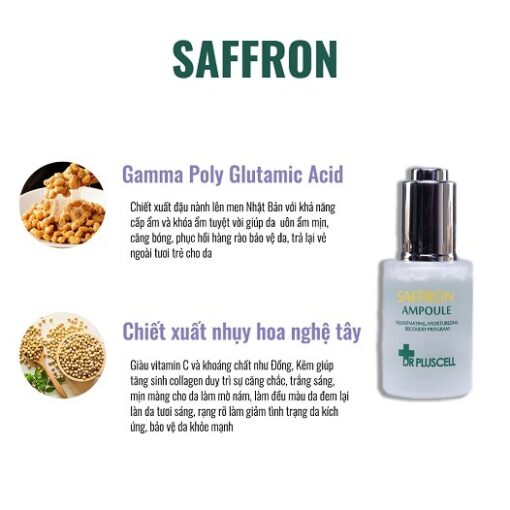 thành phần Tinh chất chống lão hóa Serum Saffron Ampoule Dr Pluscell